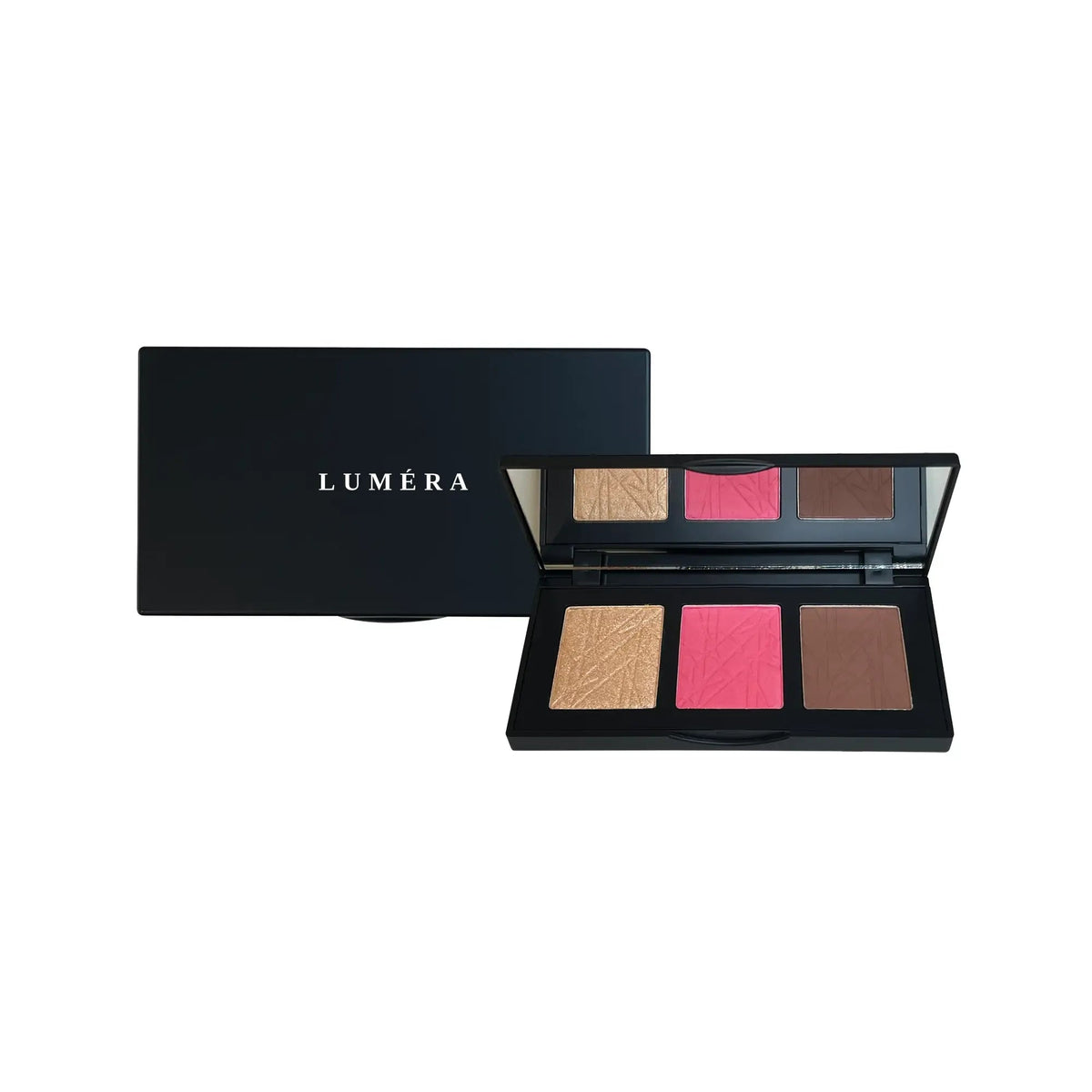Pro Cheek Palette in Pop