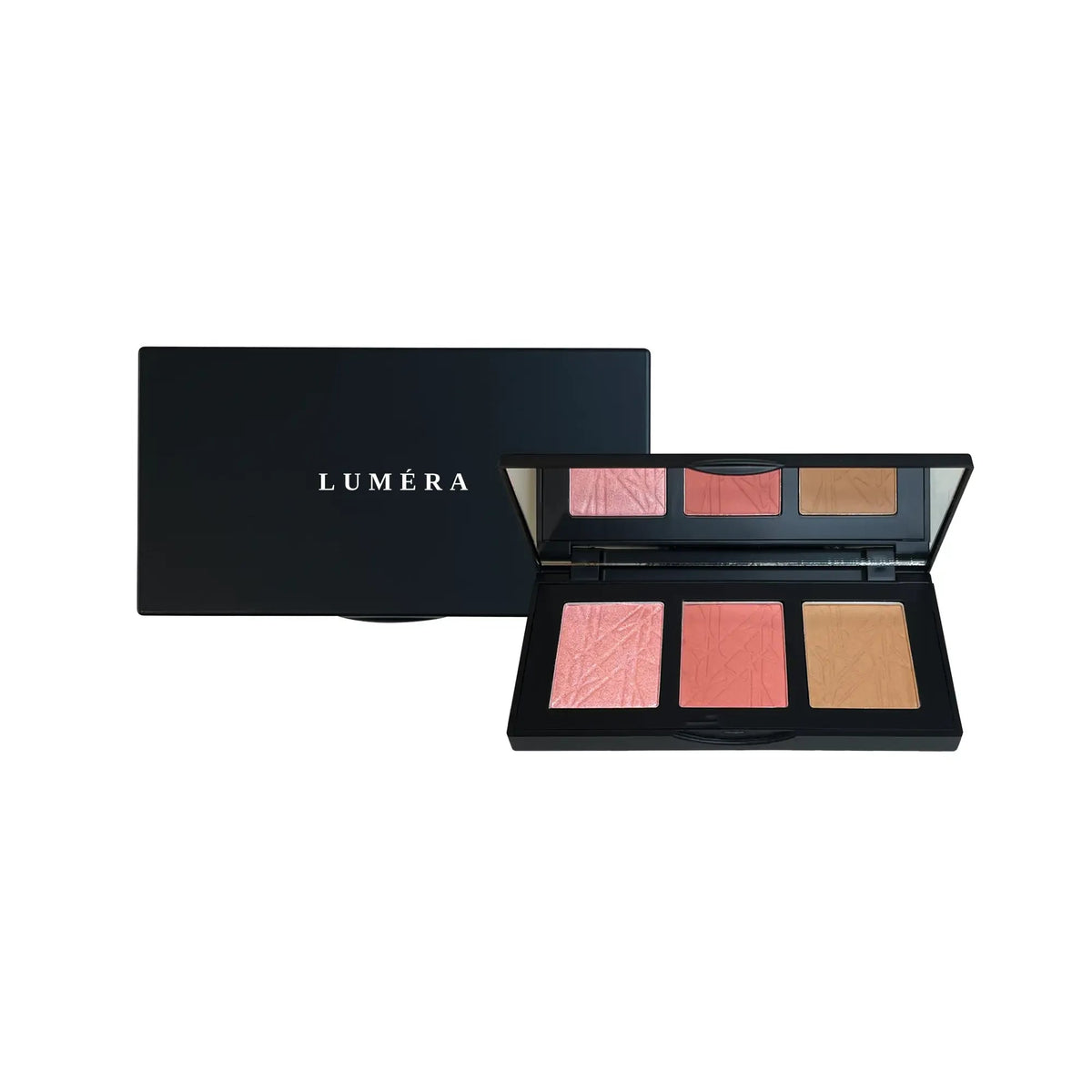 Pro Cheek Palette in Blushy